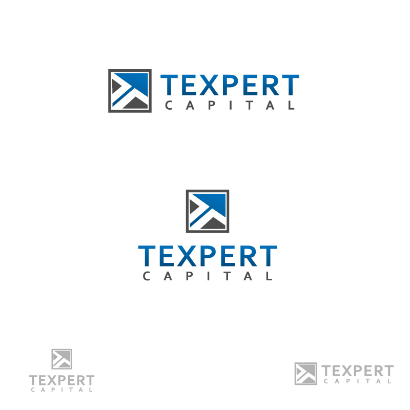 Logo Design by ddamian_dd for Texpert Capital Pty Ltd | Design #149596