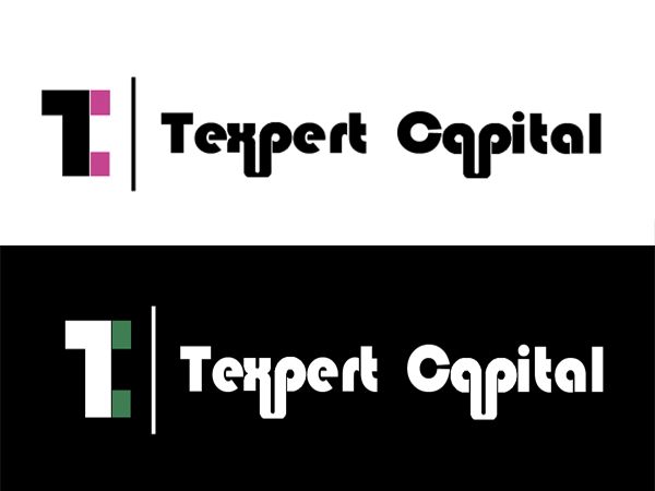 Logo Design by Fauzy 313 for Texpert Capital Pty Ltd | Design #151186