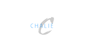 Logo Design by topdesign for this project | Design #4075475