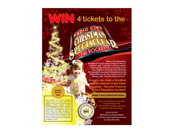 Flyer Design by Grace A for this project | Design #149734