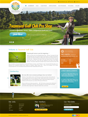 Web Design by the-lion-king for this project | Design: #1142952