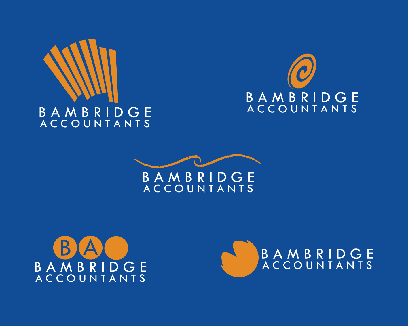 Logo Design by Electric Sparrow for this project | Design #147382