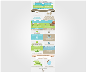 Infographic Design by Jane