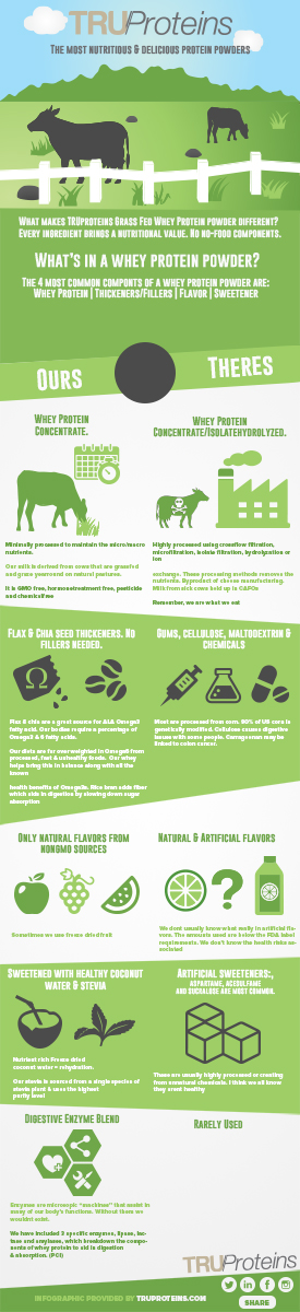 Infographic Design by Lilcess