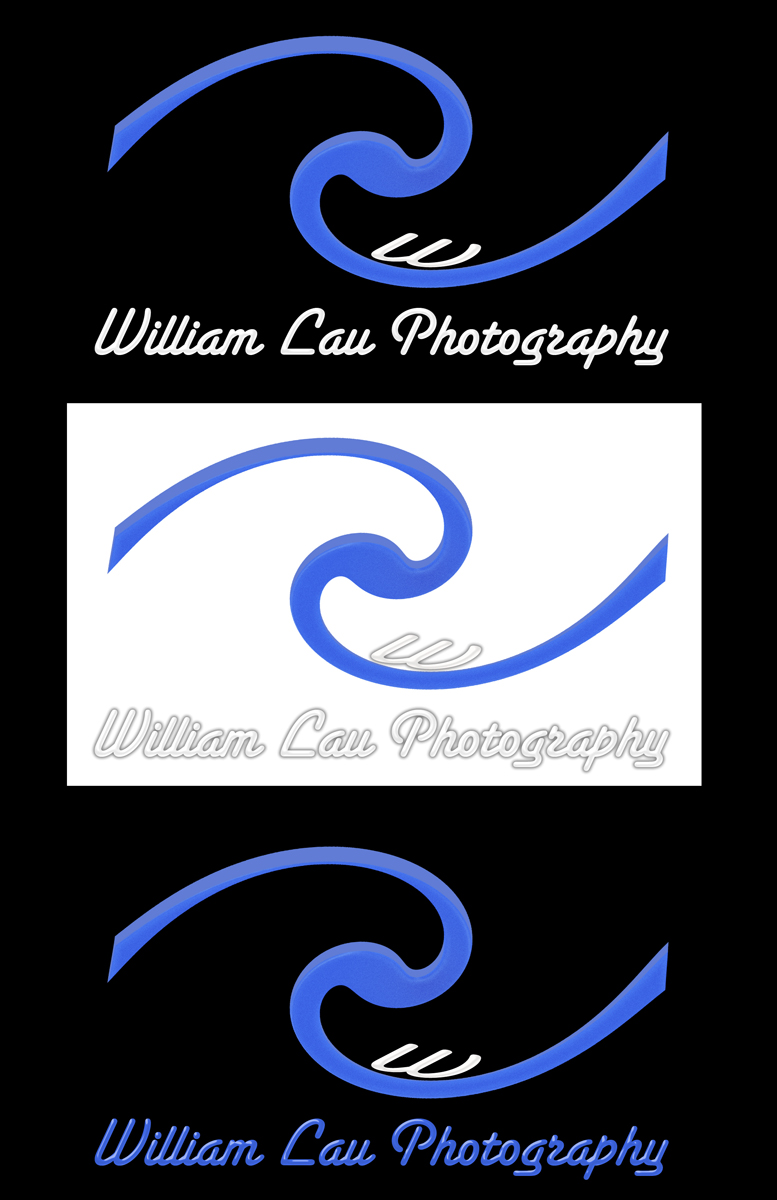Logo Design by Crion for this project | Design #4055258