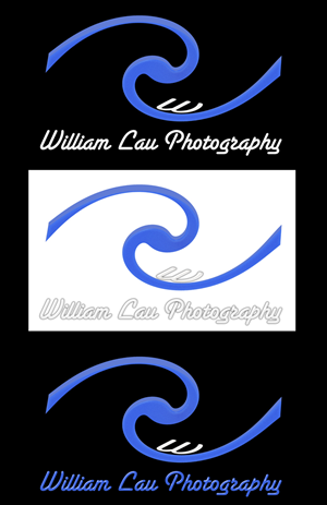 Logo Design by Crion