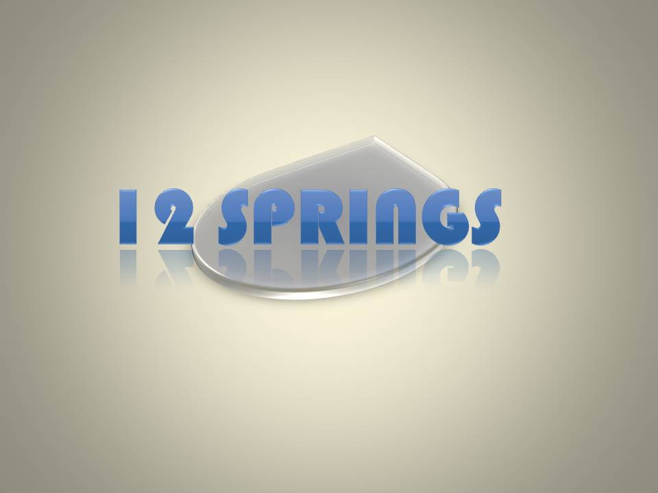 Diseño de Logo por jIrAne19 para este proyecto | Diseño #1120662
