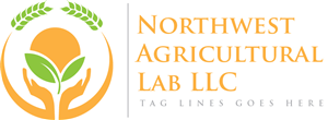 Logo Design by Niko Dola