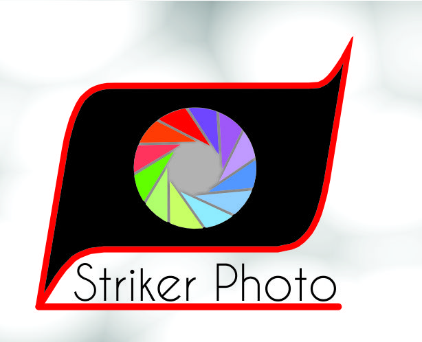 Logo Design by Sandro for this project | Design #1123328