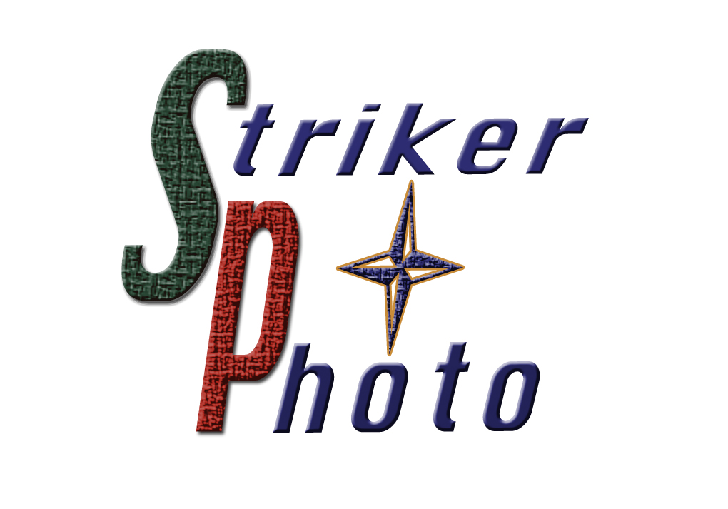 Logo Design by Inspired Designs for this project | Design #1139198