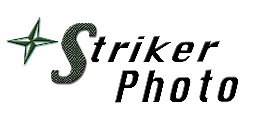 Diseño de Logo por Inspired Designs para este proyecto | Diseño #1139216