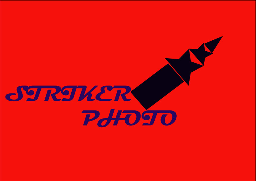 Logo Design by carole87 for this project | Design #1123304