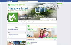 Facebook Design by Web Skippers