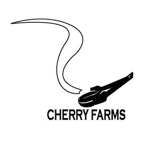 Logo Design by pm jayasena