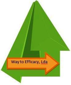 Logo Design by Way to efficacy - Lda