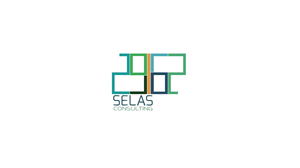 Logo Design by dtouch for Selas Consulting | Design: #4062872