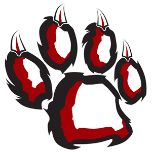 Logo Design by DCN Graphics