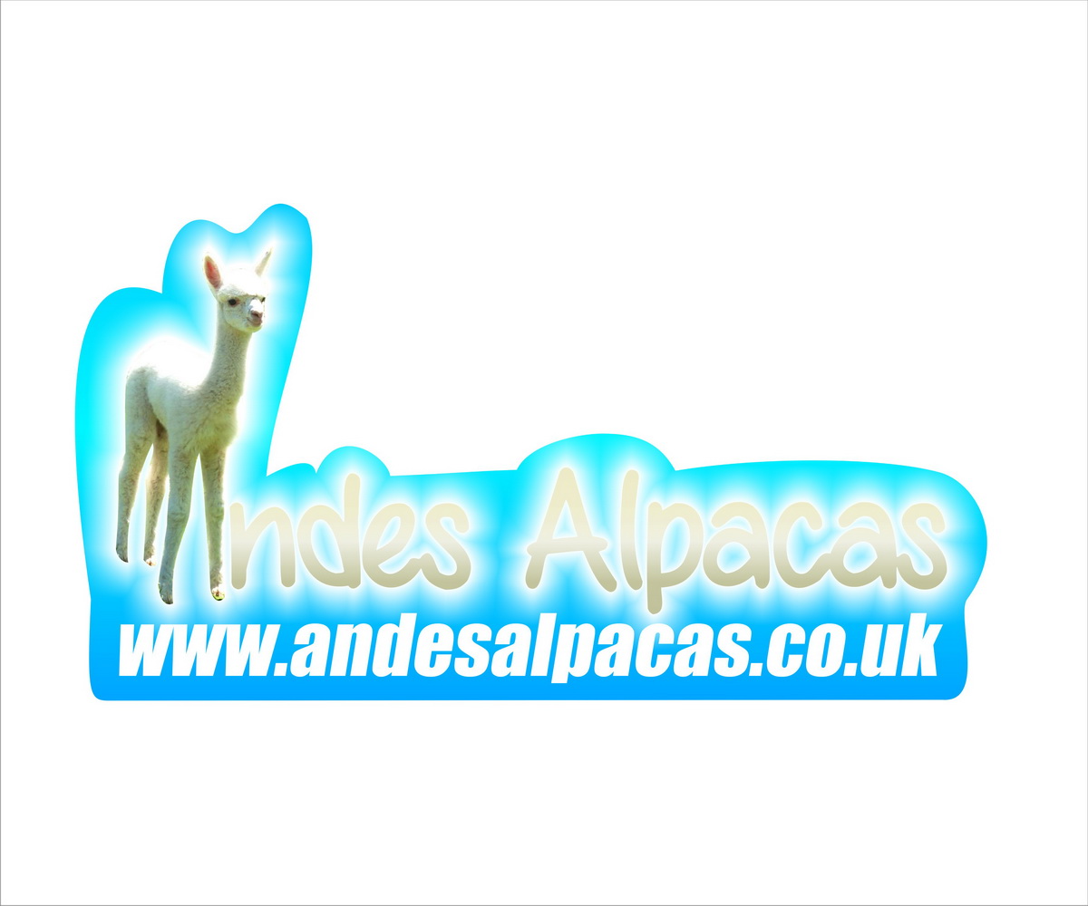 Logo Design by hamkur for this project | Design #4082162