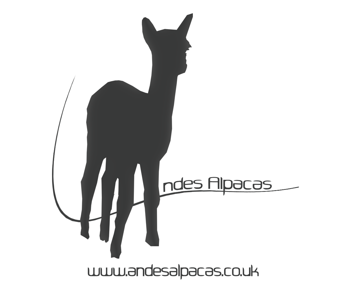 Logo Design by MDesigns for this project | Design #4088522