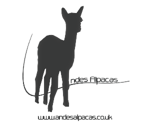 Logo Design by MDesigns