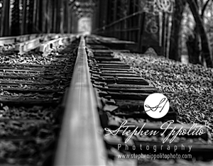 Logo Design by annaki for this project | Design: #4095169