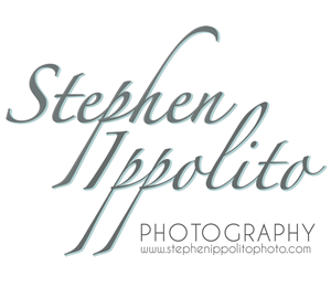 Logo Design by Emily Hamnett for this project | Design: #4068452