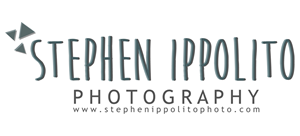 Logo Design by Emily Hamnett for this project | Design: #4079059