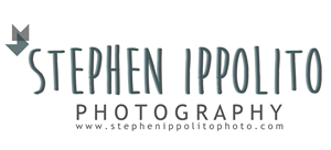 Logo Design by Emily Hamnett for this project | Design: #4079067