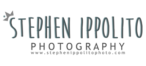 Logo Design by Emily Hamnett for this project | Design: #4079070