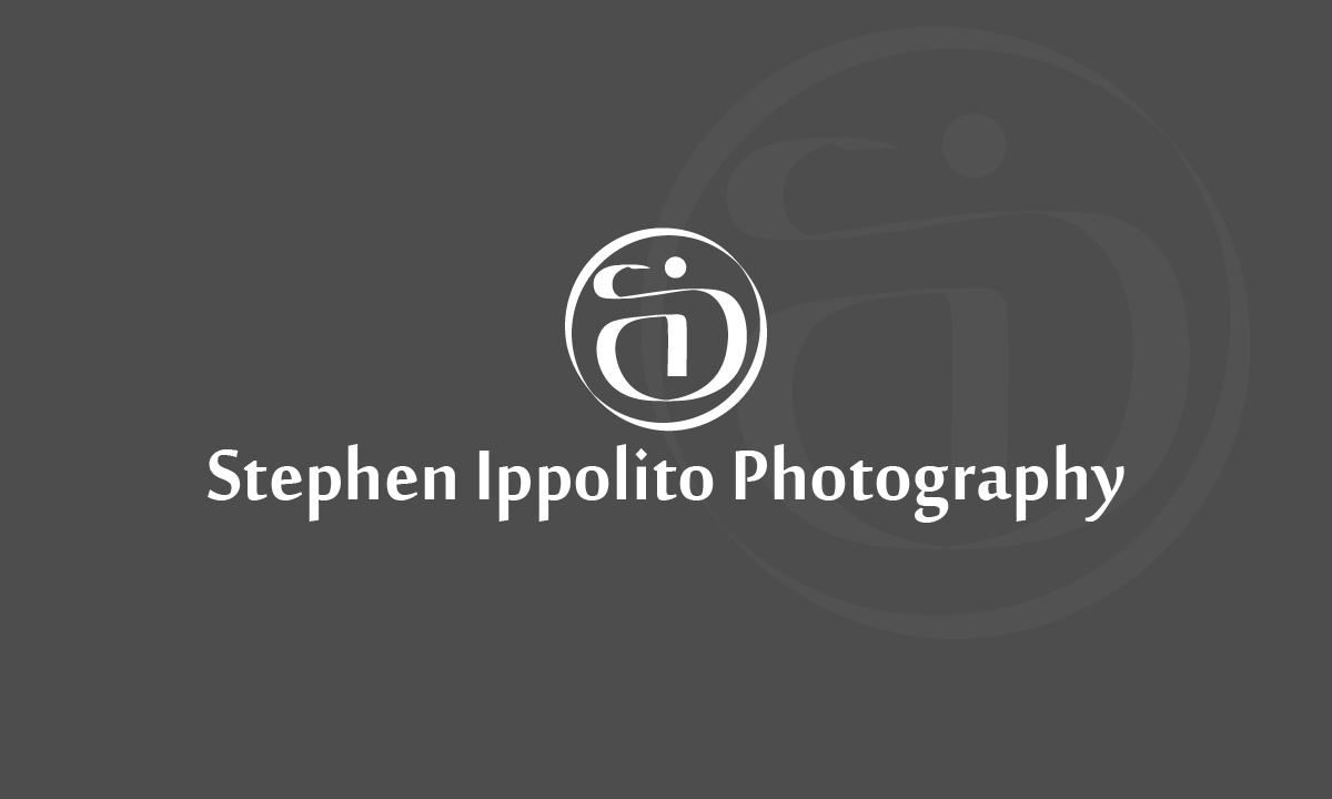 Logo Design by Laleh for this project | Design #4078459