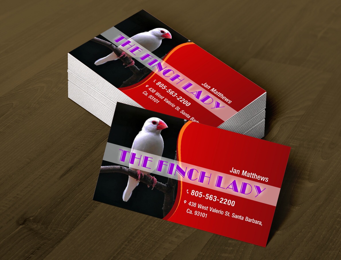 Business Card Design by Anooshaa for this project | Design #4071080