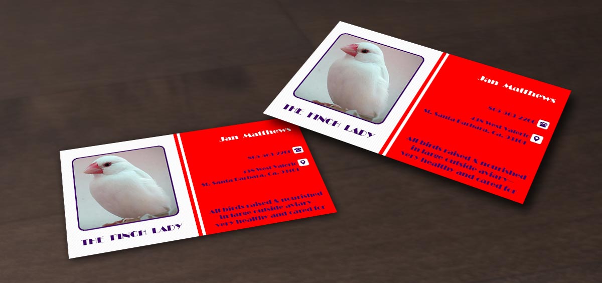 Business Card Design by Pointless Pixels India for this project | Design #4065680