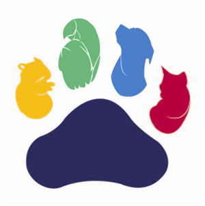 Logo Design by Courtz