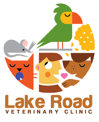 Logo Design by Bravia for this project | Design #4065619