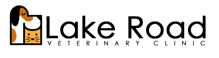 Design de Logo par Bravia pour ce projet | Design #4068423