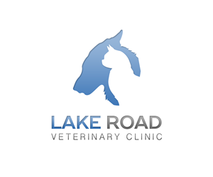 Logo Design by KingDesigns