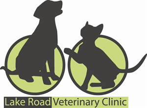 Logo Design by ancel