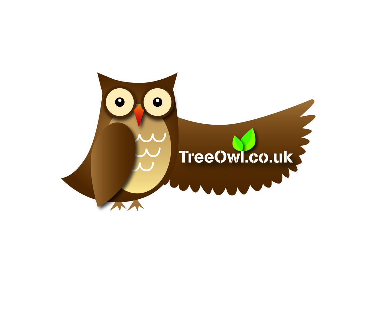 Logo-Design von Boon für dieses Projekt | Design #1147381