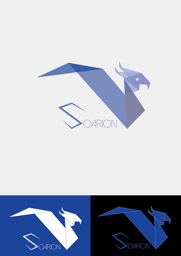 Logo Design by Randomme for Soarion Inc. | Design #4069200
