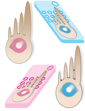 Illustration Design by xersss