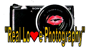 Logo Design by stevies cartoons