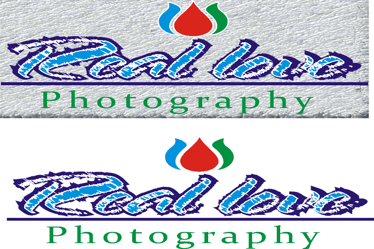 Logo Design by MUHAMMAD for this project | Design #1154554