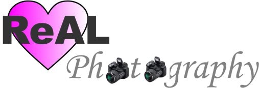 Logo Design by anggun for this project | Design #1136715