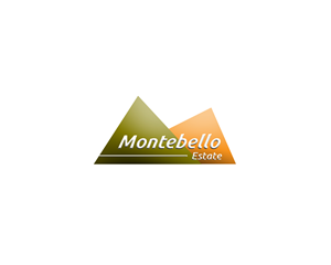 Logo Design by 543 for ExchangeWise Pty Ltd | Design: #4116633