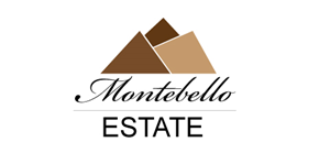 Logo Design by PMedia