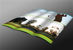 Design de Brochure par Svetlin Angelov pour ce projet | Design : #1161664