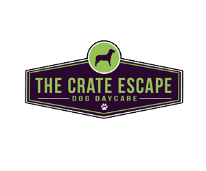 Logo Design by  Alexis Elise