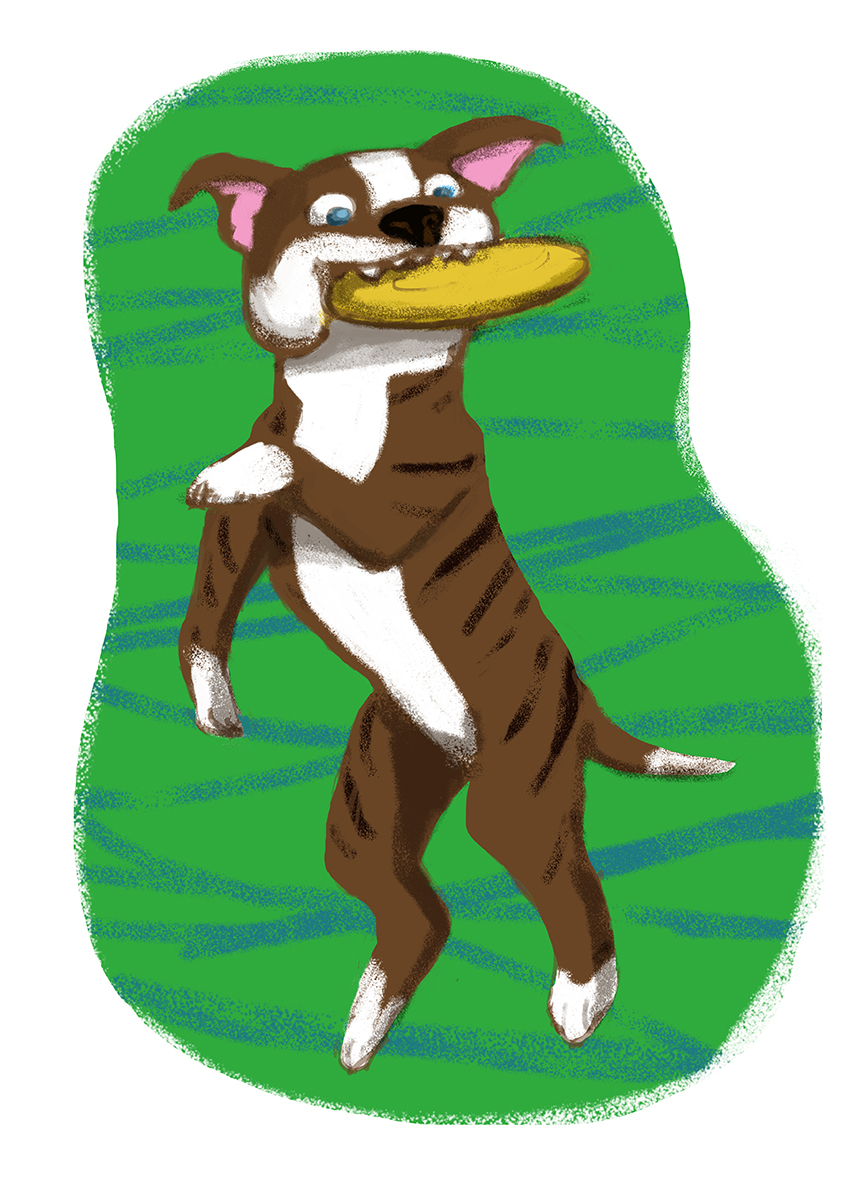 Illustration Design by EPICreationZ for this project | Design #4093129