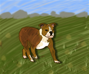 Illustration Design by Teena parhar for this project | Design: #4102162