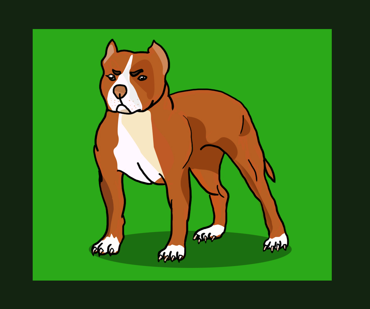 Illustration Design by Teena parhar for this project | Design #4102164